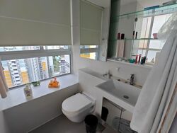 The Regency At Tiong Bahru (D3), Condominium #573429141
